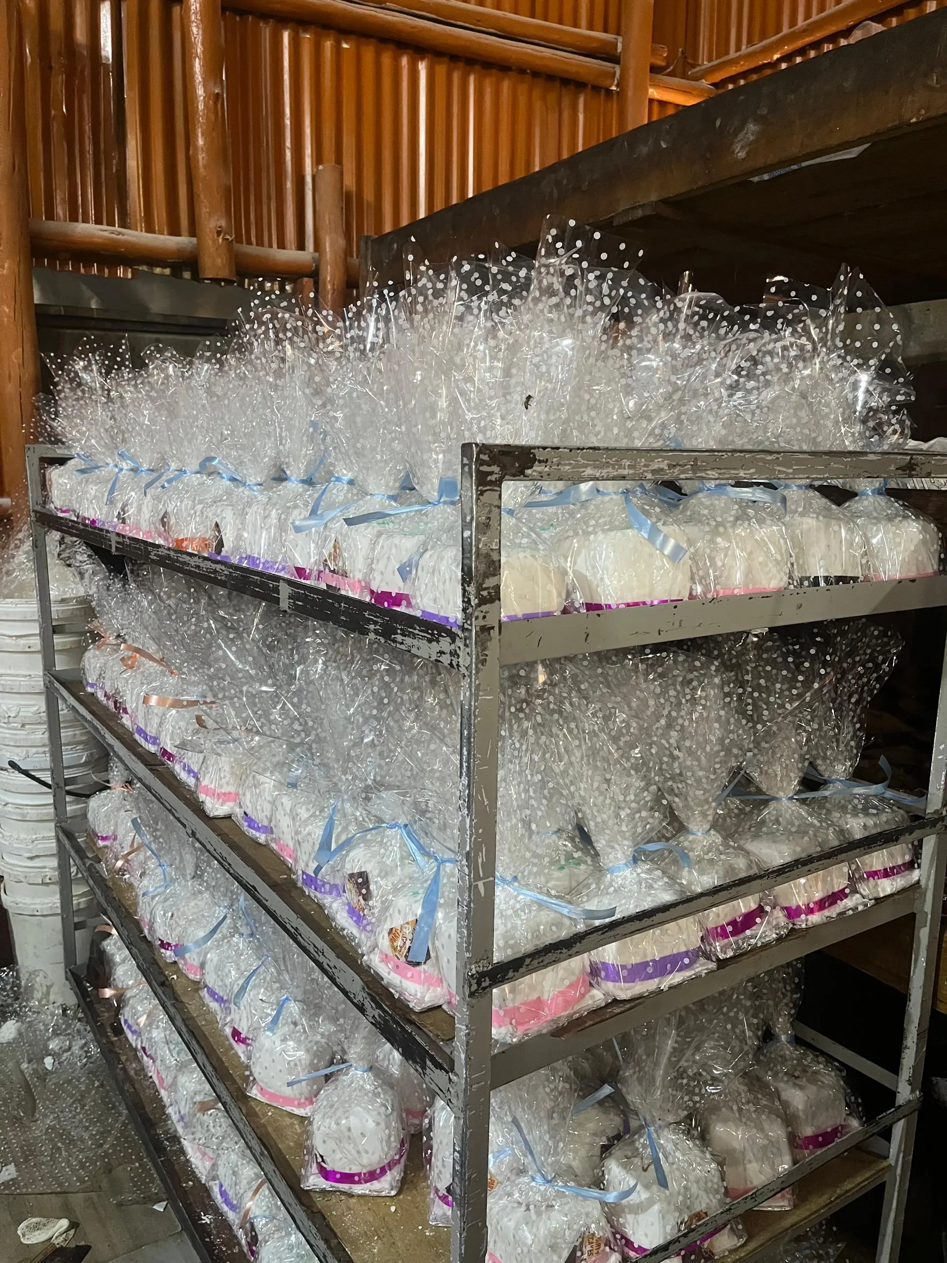 Elite Bakers showcase 6 - Premium bakery creations from Mbarara, Uganda